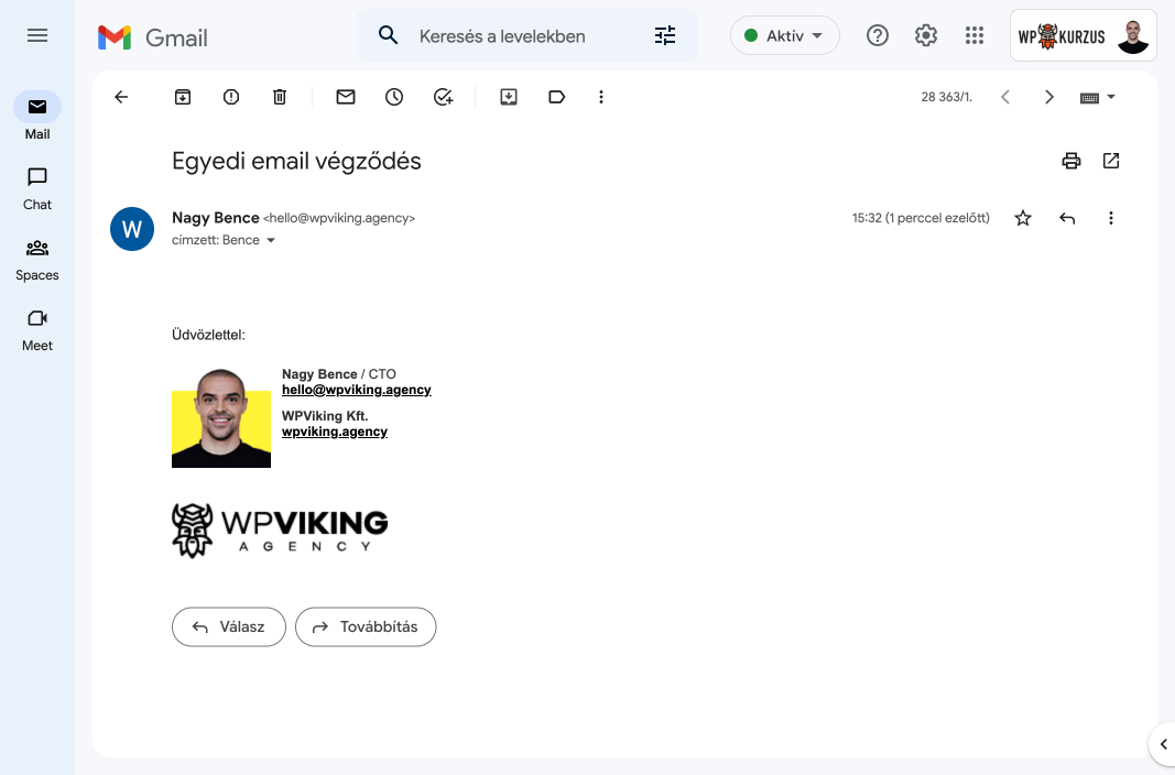 Google Workspace WPViking Agency